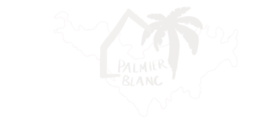 palmier-blanc.com